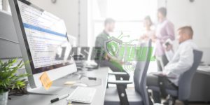 Website Design Service